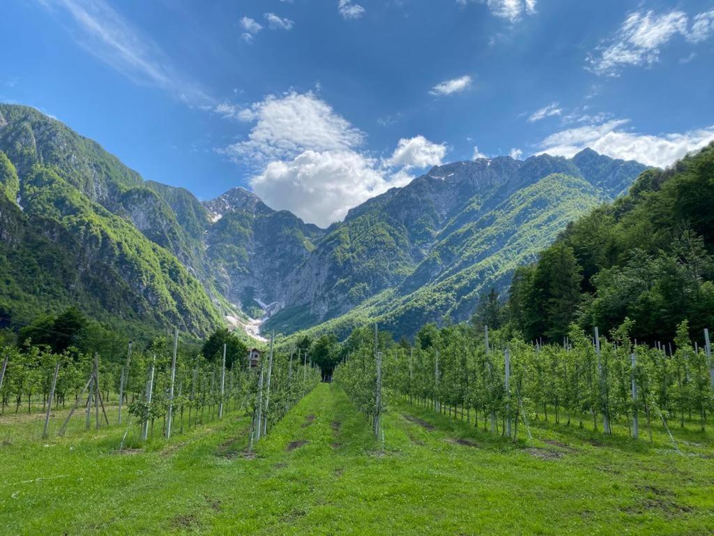 Agriturismo Pian Dei Tass Барчис Экстерьер фото