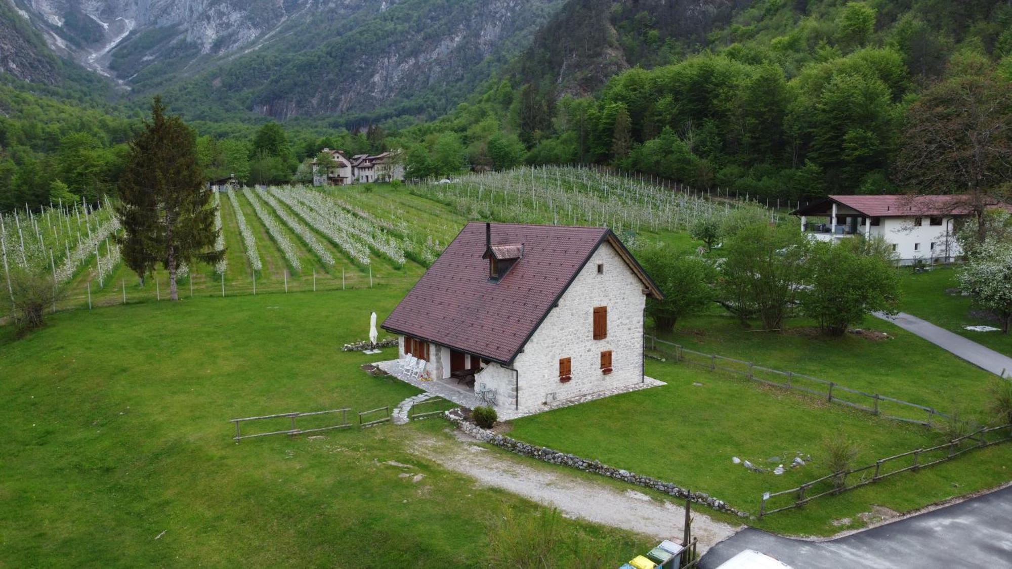 Agriturismo Pian Dei Tass Барчис Экстерьер фото