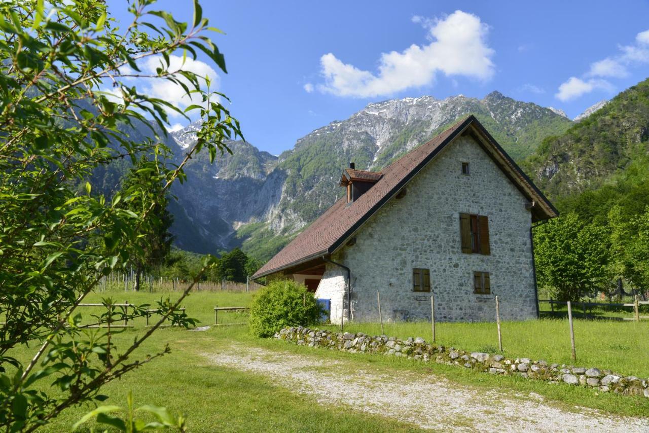 Agriturismo Pian Dei Tass Барчис Экстерьер фото
